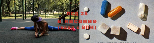 прущие грибы Приозерск