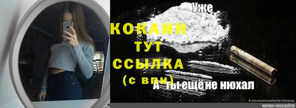 дживик Верея